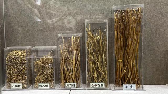 走，去中医药博物馆看玛瑙（说笑了~）