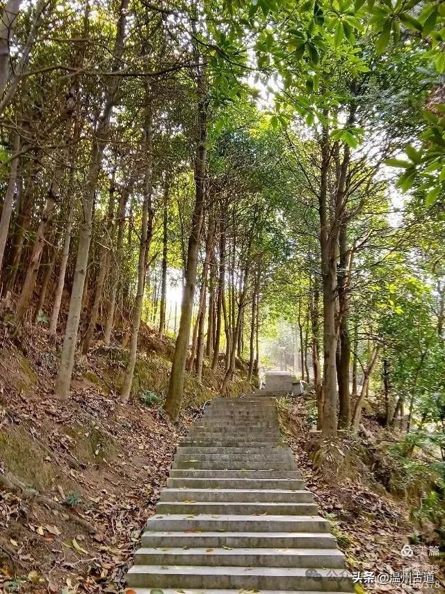 大罗山这条改造过的登山步道你可去过?