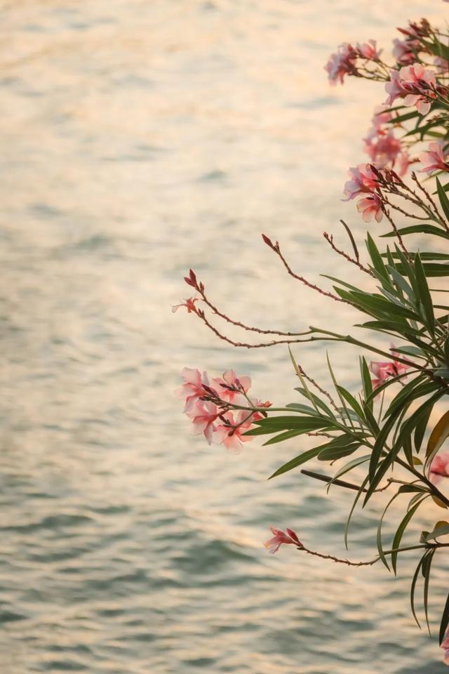 冬日暖阳里，来丰泽这儿享受惬意时光……