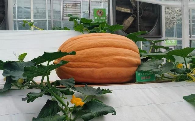 原来真的有城市，可以一天24小时都快乐~（2）