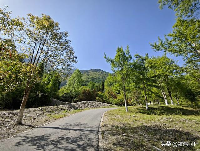 理小路环线今日风景！