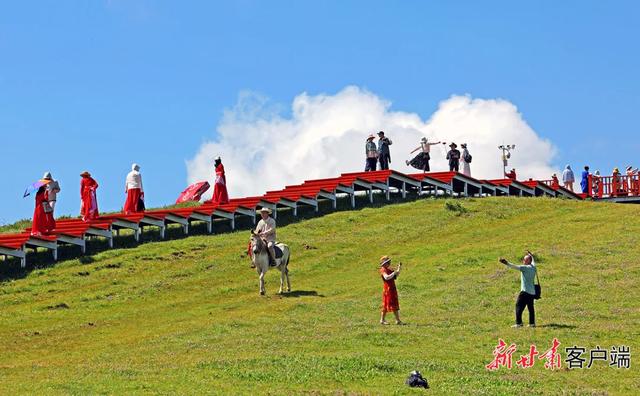玛曲:夏日黄河上游最美的生态画卷