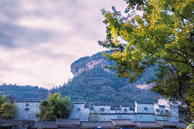 这个冬天，把印象大红袍的「空镜头」，存进你的取景框。