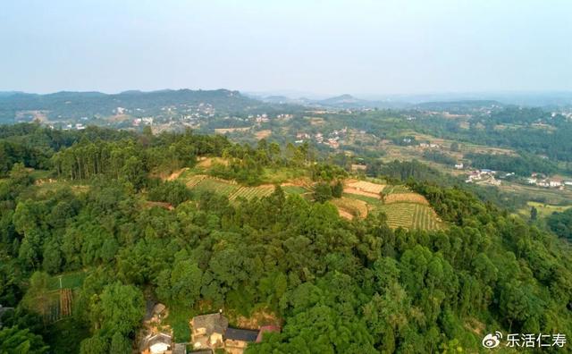 除了“YYDS”，我们还可以这样夸仁寿