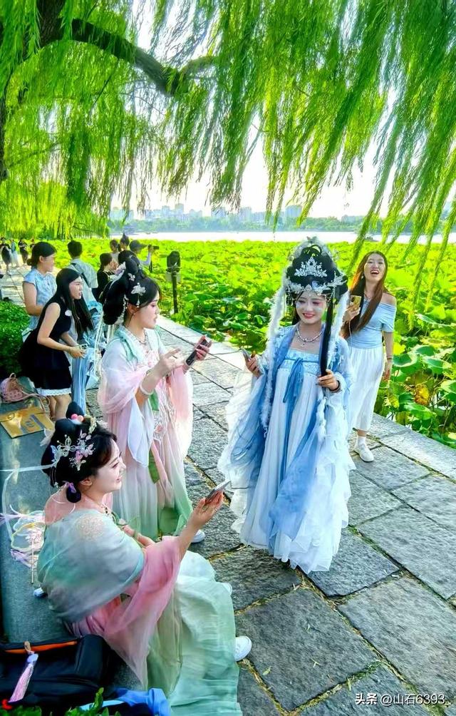 《雨荷厅畔荷香美女乐》～新华社原军事记者陶俊峰泉城大明湖美拍