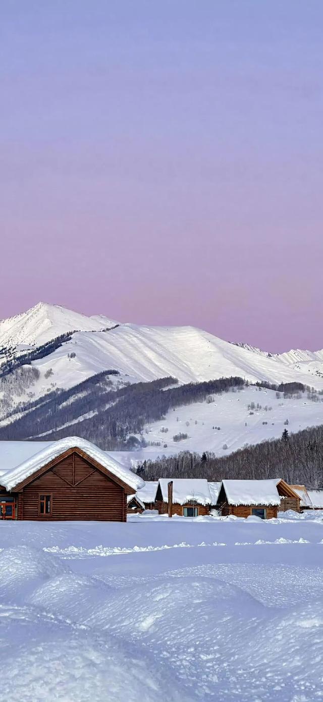 冬至快乐～盼一场大雪，而后春归