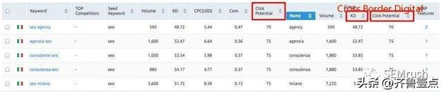 Semrush是什么软件？如何用Semrush进行国际化SEO优化