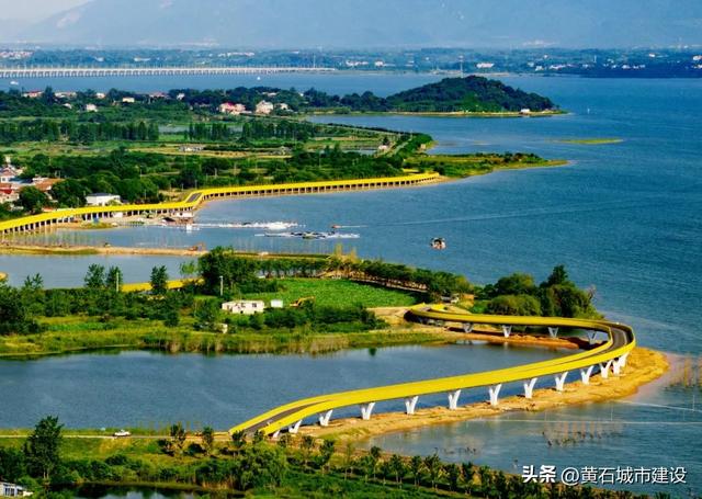 拍照片超美！黄石城区藏着一片橘子海！