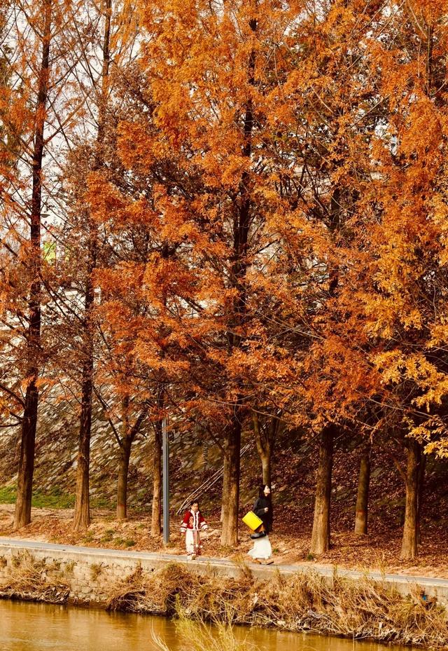 西安周末好去处——初冬8处宝藏公园免费又好玩！