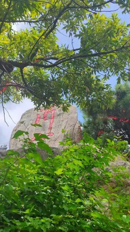 逃离“浪浪山”，解锁沂山新玩法！