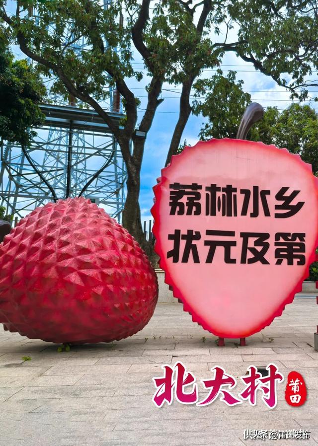莆田北大村：畅玩五日嘉年华，畅享百年荔枝甜