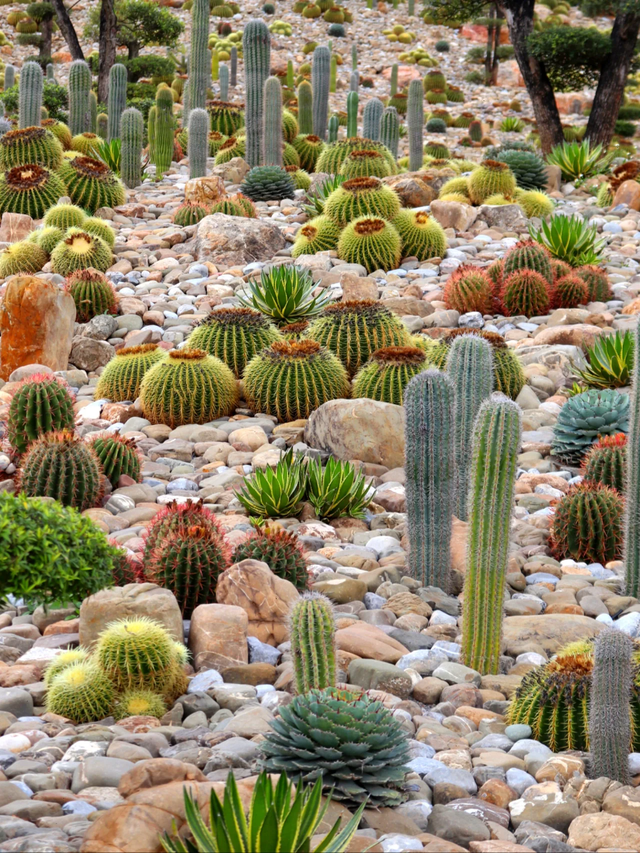 不输昆明！高铁可达20℃暖冬小城，泡温泉晒太阳水果随吃！人少物价低，6元就嗦粉！