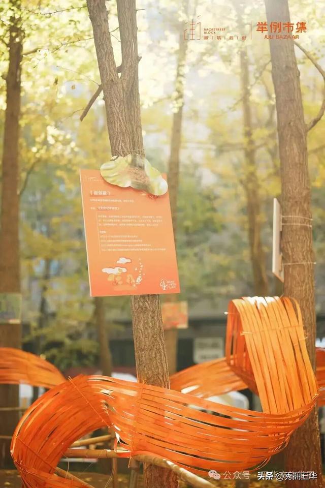 赏银杏、会海鸥，邂逅一场丰容的“昆明式暖冬”