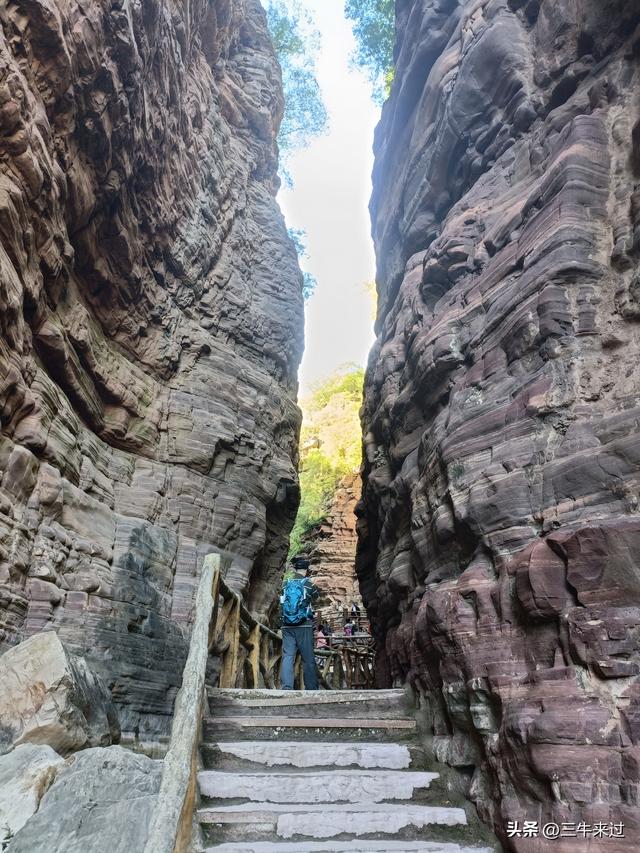 无为在歧路，2025之经行