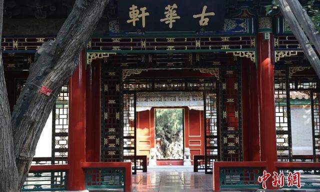 法国总统马克龙低调参观乾隆花园，故宫再成中法文化互动新景点