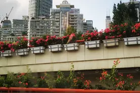 心理因素对癌症患者的生存期至关重要图片
