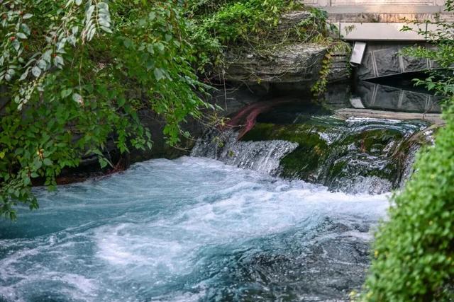 这样的济南，第一次见！