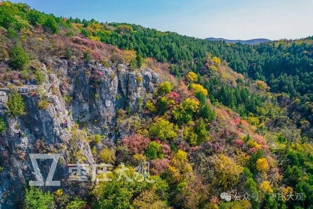 红叶季，在枣庄抱犊崮崖壁上拍到我的人生照片！
