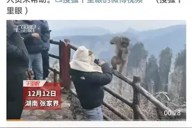 游客和猴子打起来了！知名景区回应图片