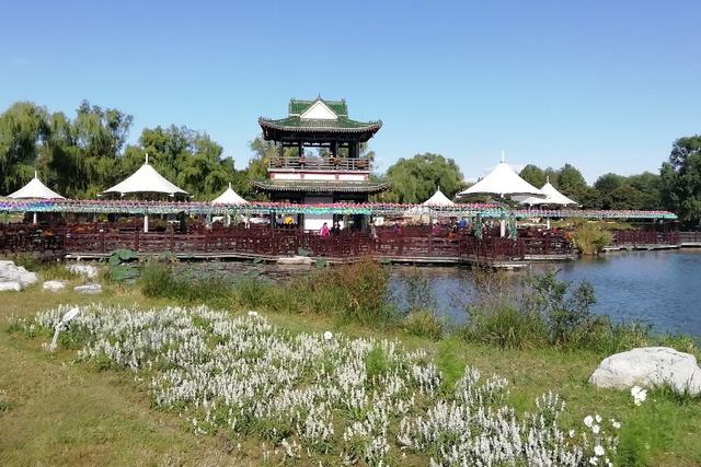 北京顺义国际鲜花港 梦幻的花海秘境