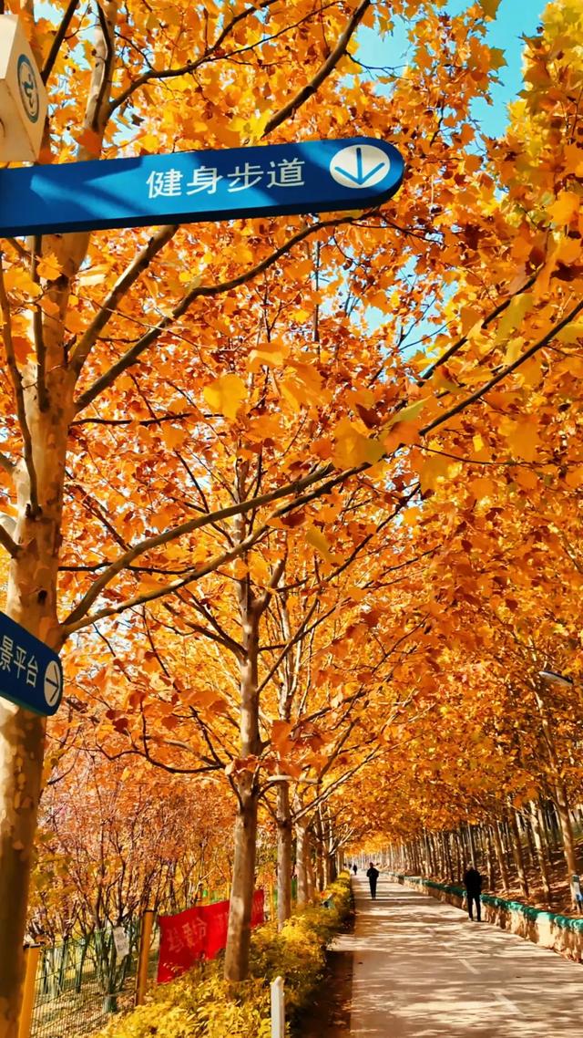 18公里步道免费开放！西五环边的这个公园迎来最佳观赏期——
