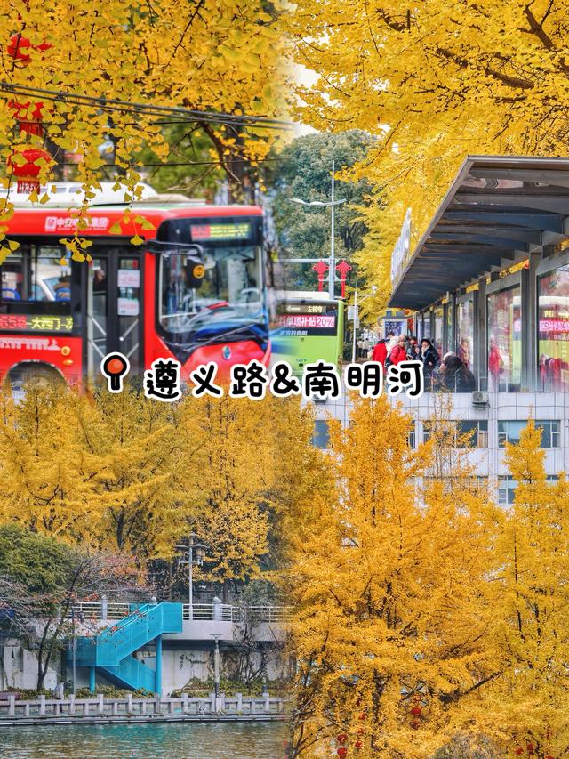 🌲别再去观山湖公园挤了！这9个小众地同样美到爆