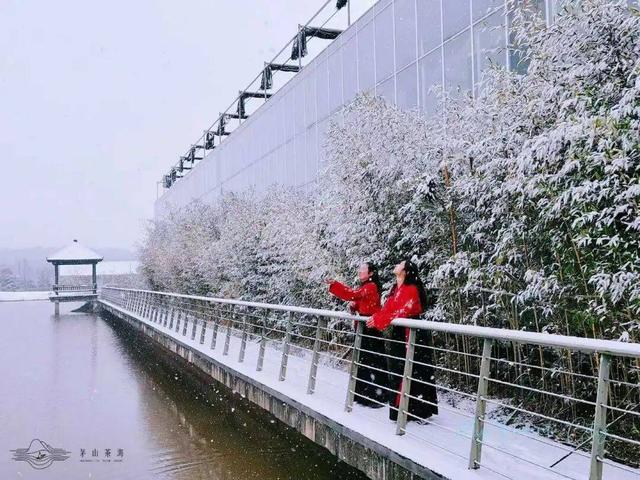 雪҈ 雪҈ 雪҈ 太美啦！快接住这“泼天”的雪白浪漫！