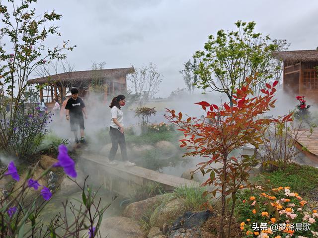云梦仙境花开十月花雾醉游人