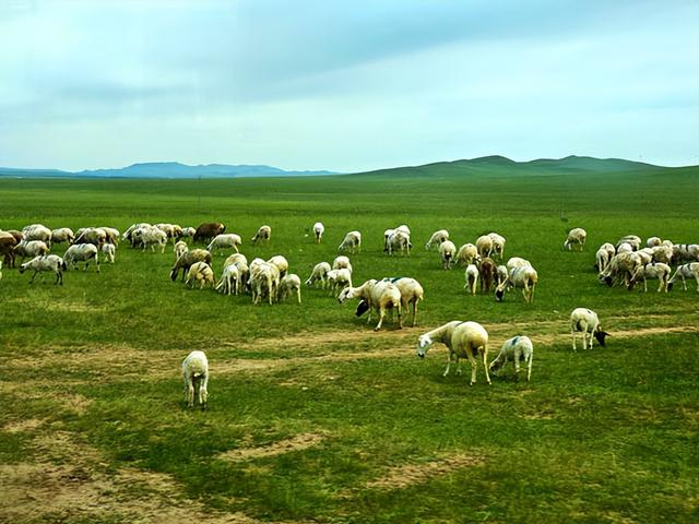 内蒙古旅游：从牛奶湖到风情马镇行（图）