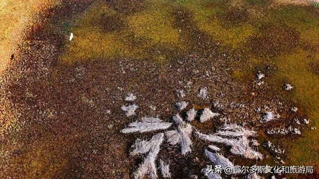 内蒙古杭锦旗：湿地秋景惹人醉