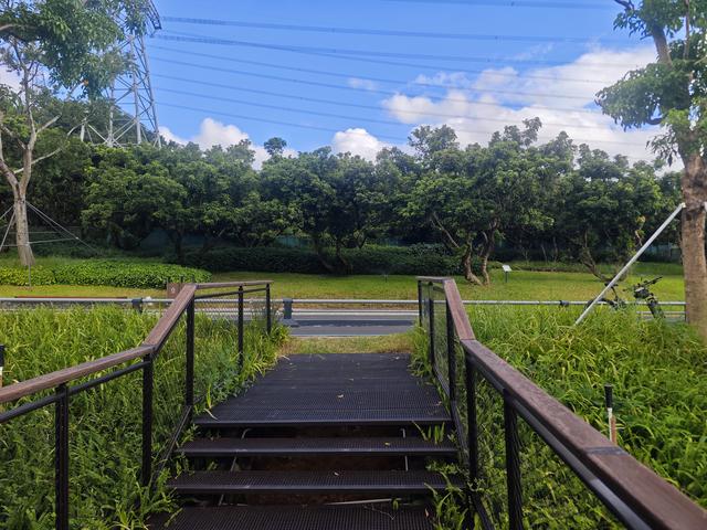 西丽湖绿道，慢慢骑慢慢地欣赏。