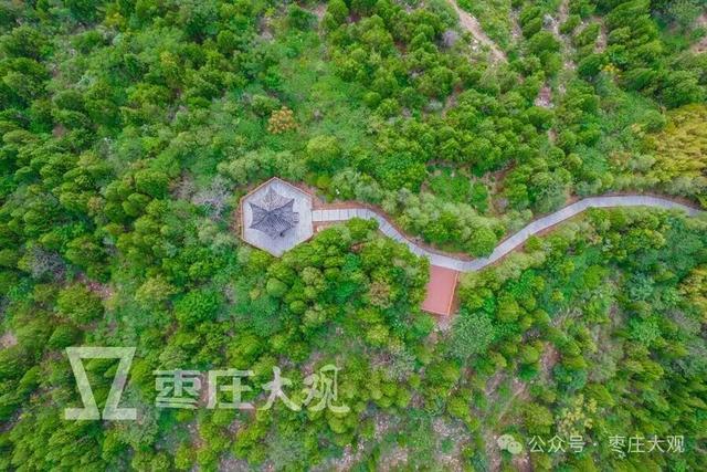 探访枣庄新城隐秘公园——袁寨山公园！