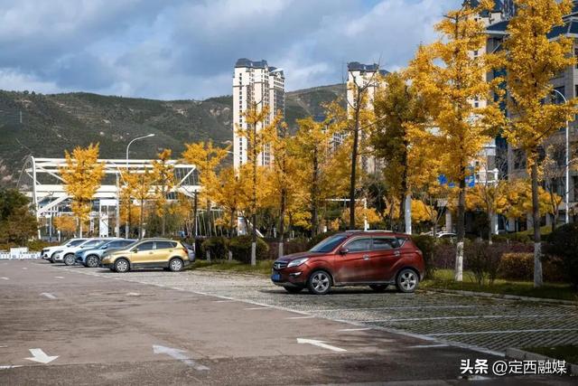 图说定西 | 安定区的限定秋景，又双叒被美到了！