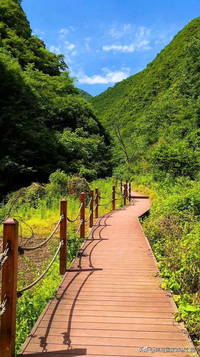 周末避暑好去处|走进绿意森呼吸,邂逅山间清凉