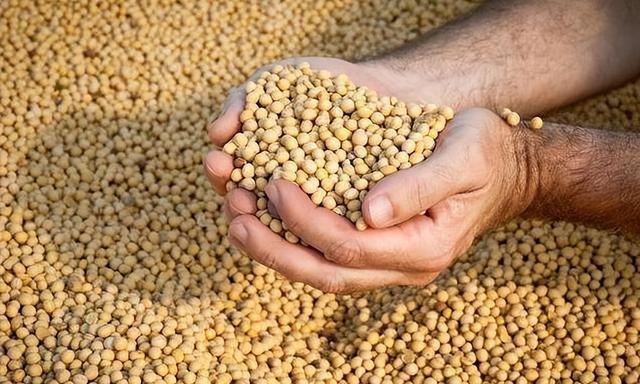 自贸易战以来，意外养肥了这个国家！如今它开始对我们坐地起价！