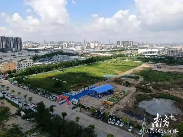 10箭齐发！2025，中山文旅，疯狂爆发！