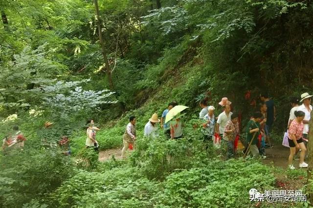 山不见我,我去见山:圆疙瘩山古会,等风也等你