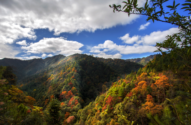 乡游黔中 · 剑河县 太拥镇丨秋染八万山，林海叠彩入画来