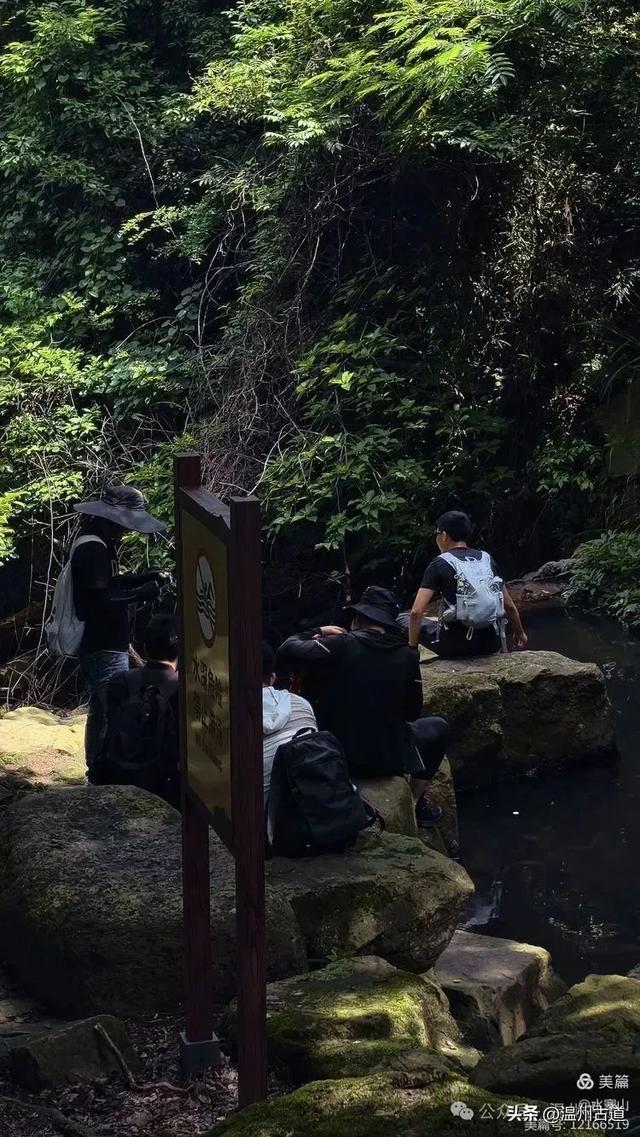 大多浙江人不知道的小众秘境，绿野仙踪！秘藏了“浙东第一古道"