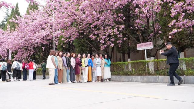 2026年徽县第八届金徽酒秦岭樱花节启幕