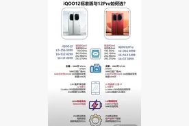 iQOO12 标准版与 iQOO12Pro 有什么区别？如何选择？图片