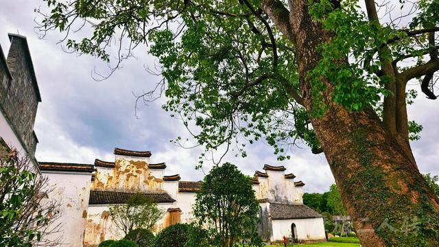 皖浙摩旅二人转——松阳黄家大院篇