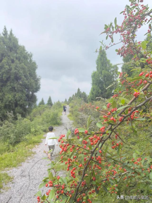 10条初秋徒步线路，去草甸、果园、森林里找秋天