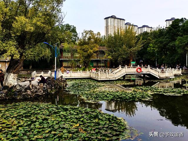 兰州市五泉山公园掠影 风景 古建 古树 雕塑 广场