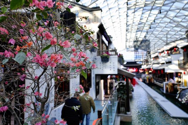 把水乡古镇“搬进”商圈！江南水街开街迎客 打开消费增长新空间