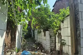 咋回事？岳阳这处征收房屋，竟还住着人！图片