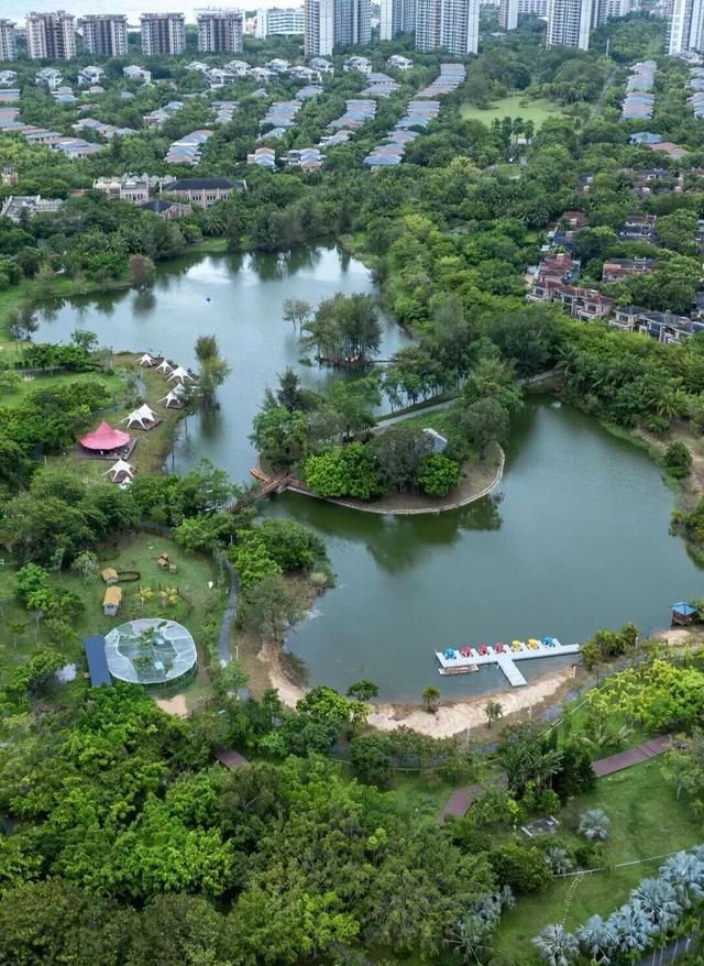 浪尖、海岸与咖啡香：解锁万宁的冬日浪漫