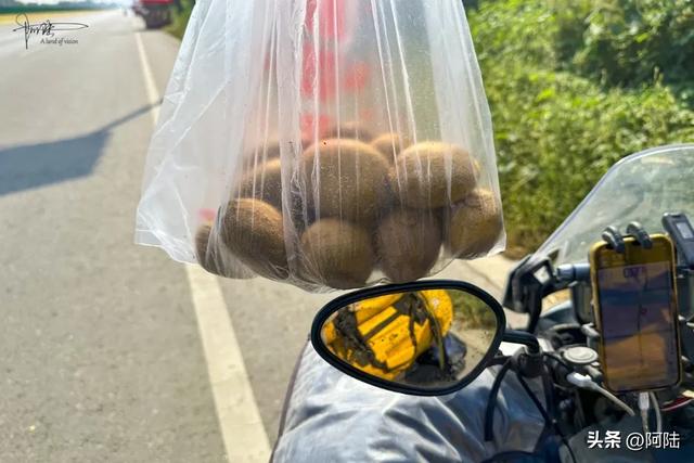 在陕西107省道心甘情愿被“套路”，直叹周至猕猴桃太好吃啦