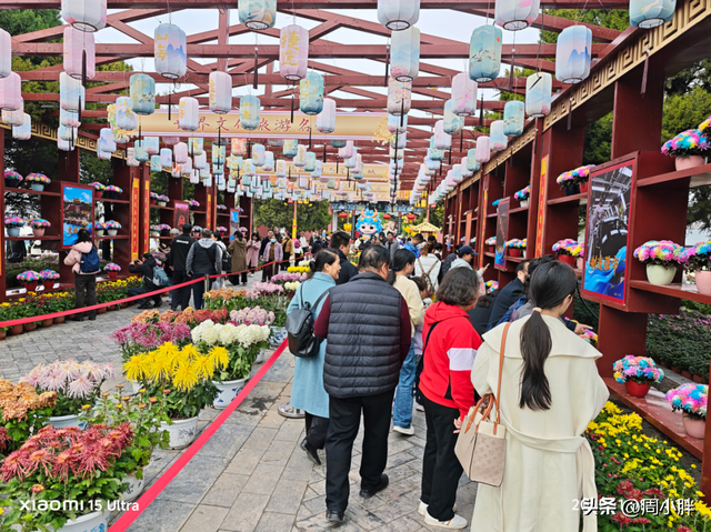 15分钟617人登顶龙亭大殿，传统观光景区迈向沉浸夜游的关键一步