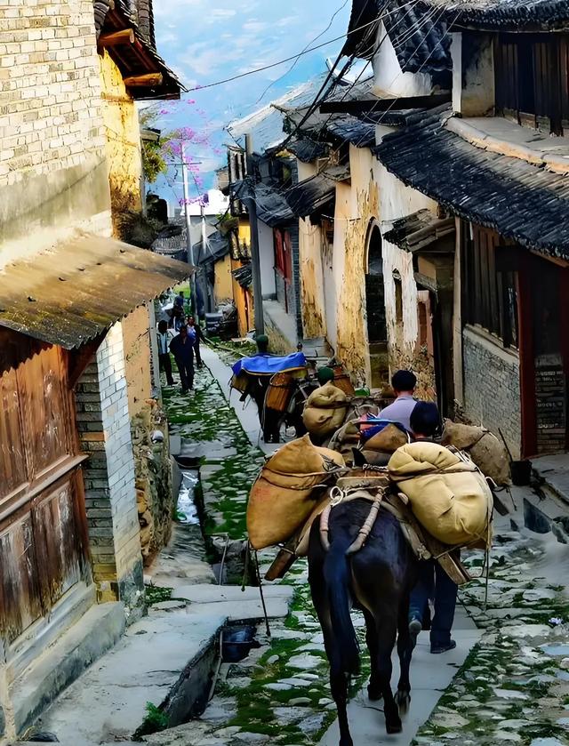 作为一个老品种云南人，不吹不黑告诉你云南到底哪些地方值得去？